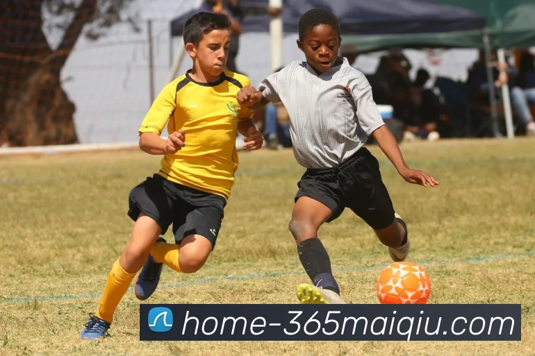 买球官网服务体系